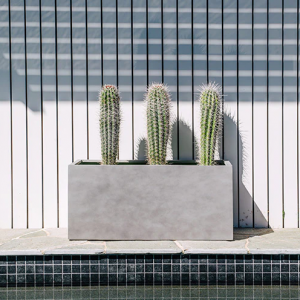 CHẬU XI MĂNG CHỮ NHẬT