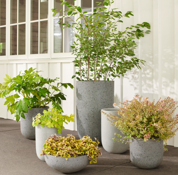 Chậu hoa đá mài - Bê tông nhẹ